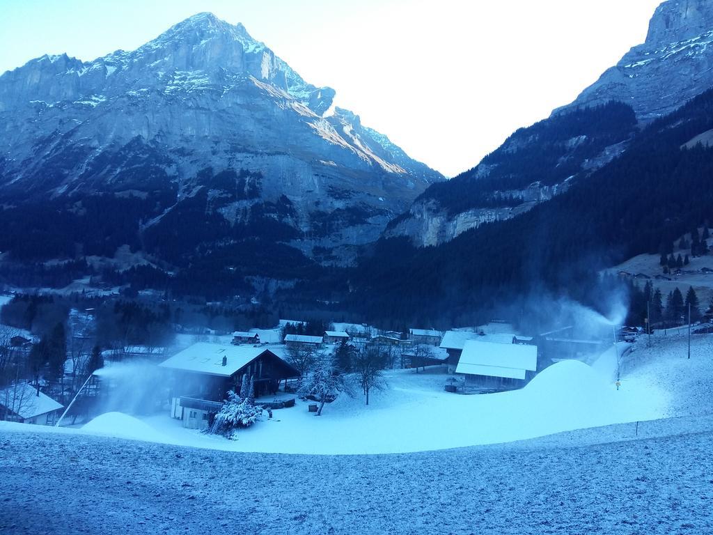 Chalet Baergblick Grindelwald Bagian luar foto