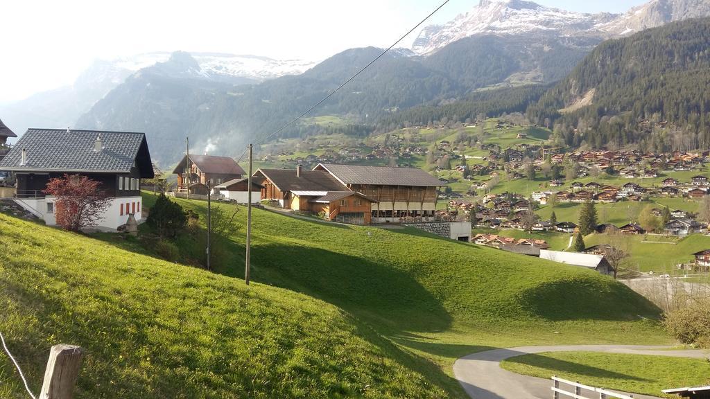 Chalet Baergblick Grindelwald Bagian luar foto